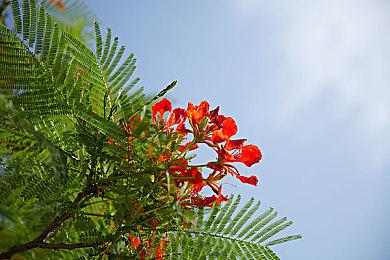 《博德之门3》获奖太多领不过来 拉瑞安游戏开发受影响